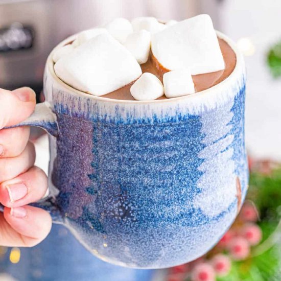 Slow Cooker Hot Chocolate