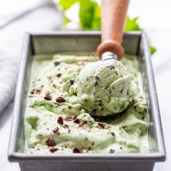 Mint Chocolate Chip Ice Cream