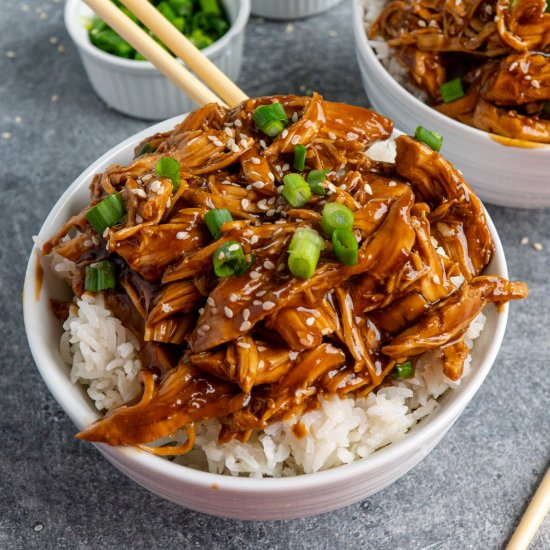 Slow Cooker Honey Teriyaki Chicken