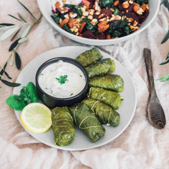 Vegan Dolma