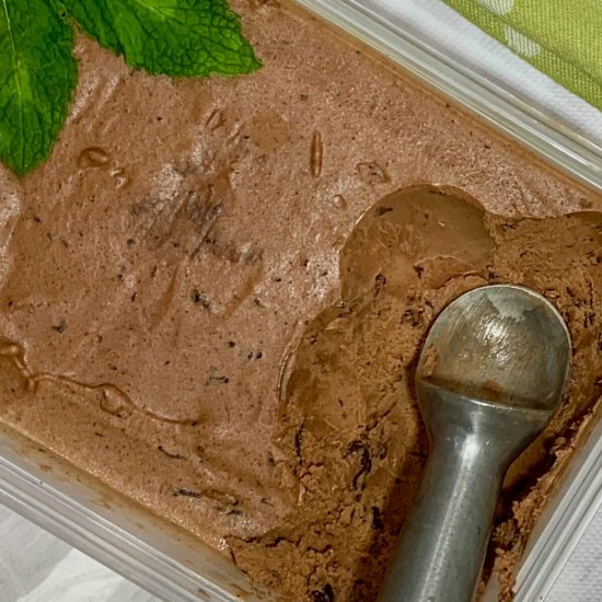 Double Chocolate Mint Chip Gelato