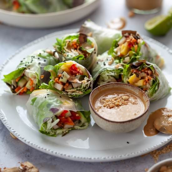 Fresh Vegan Rainbow Spring Rolls