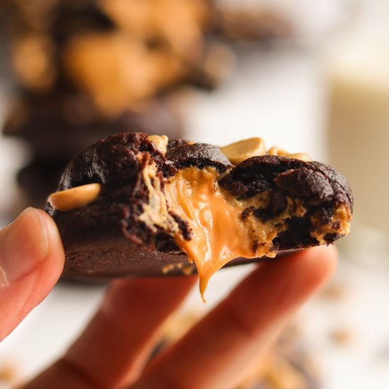 Chocolate Peanut Butter Cookies