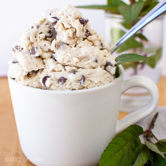 Paleo Mint Chocolate Chip Ice Cream