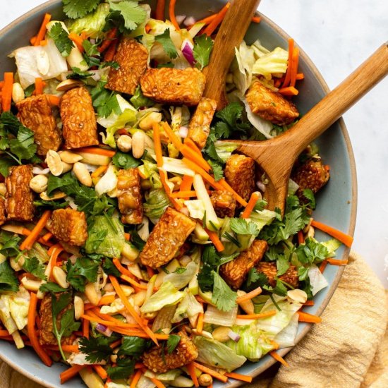 FRESH THAI-INSPO SALAD WITH TEMPEH