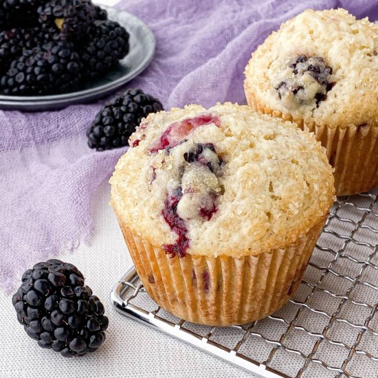 Blackberry Buttermilk Muffins