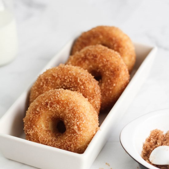 cinnamon sugar baked donuts