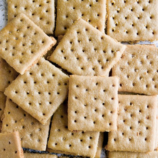 Gluten-free Graham Crackers