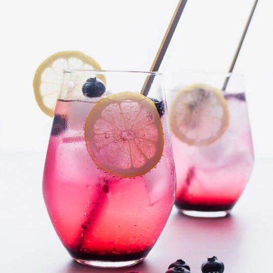 Blueberry Lemon Soda