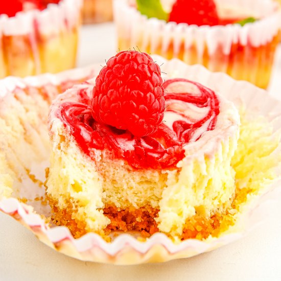 Raspberry Swirl Cheesecake Cupcakes