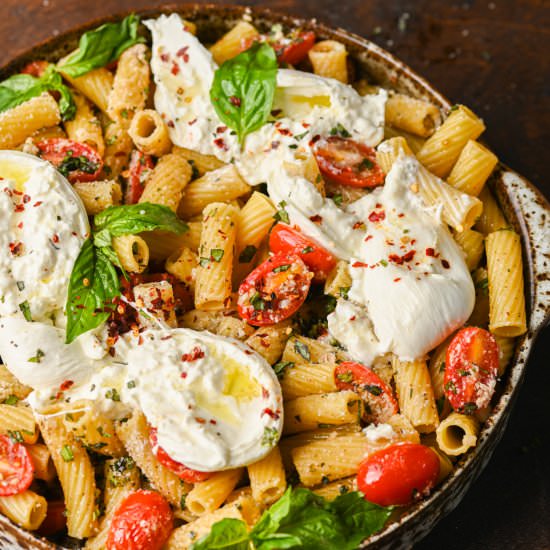 Rigatoni Burrata with Tomatoes