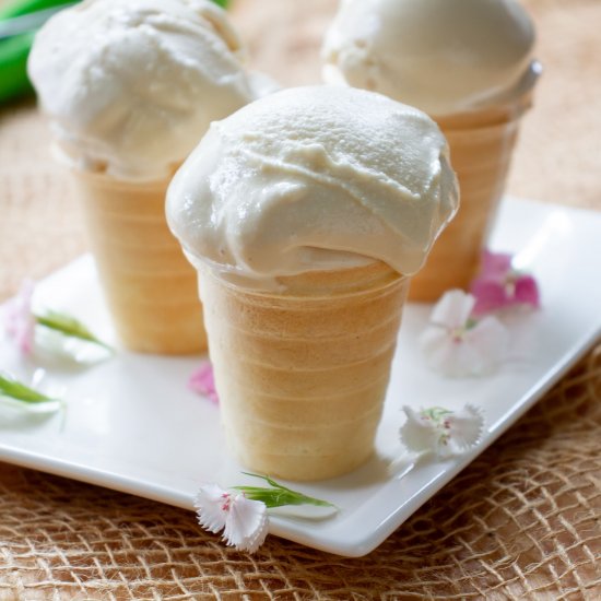 Three-ingredient vanilla ice cream