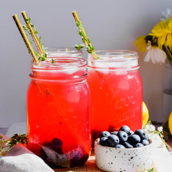 Blueberry Vodka Lemonade