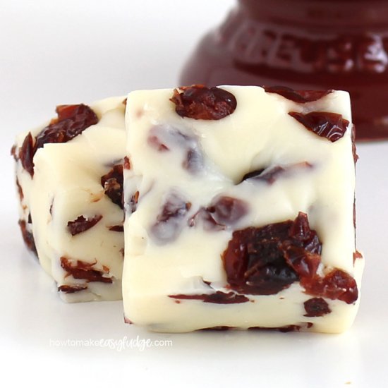 Cranberry Fudge