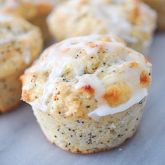 Lemon poppy seed muffin