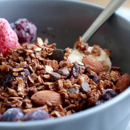 Vegan Chocolate Granola Recipe