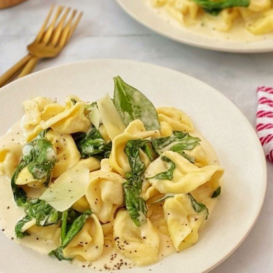 Spinach Alfredo Tortellini