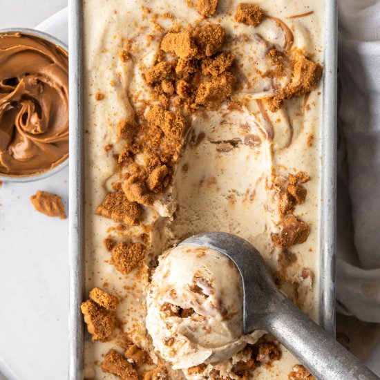 cookie butter ice cream