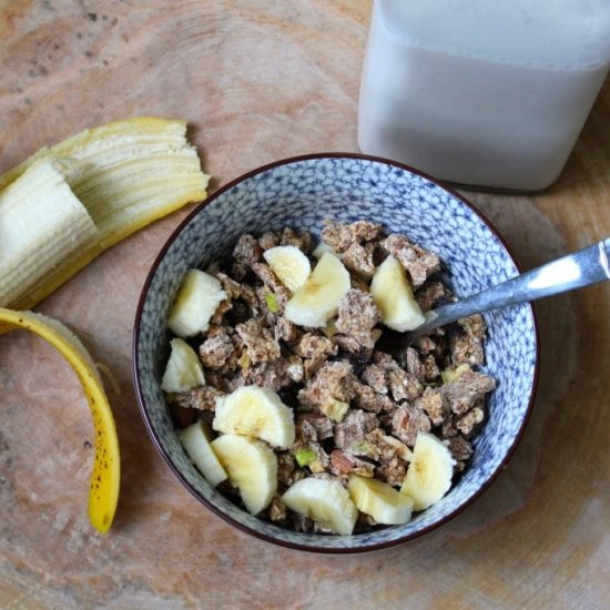 Cinnamon Apple Dehydrator Granola