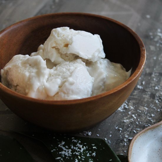 Coconut ice cream