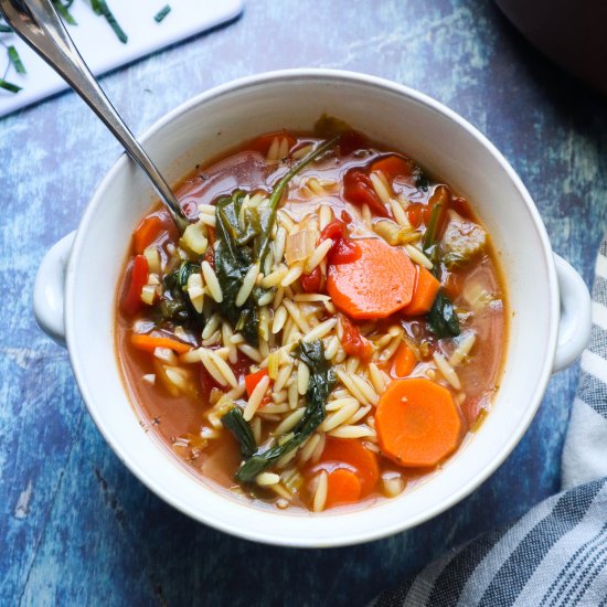 Vegan Orzo Soup