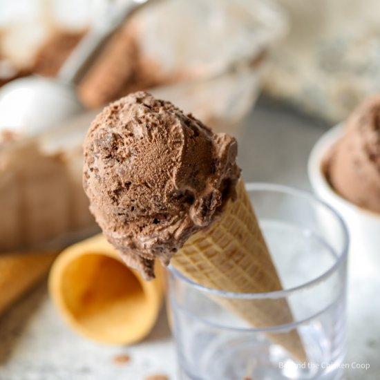 Chocolate Brownie Ice Cream