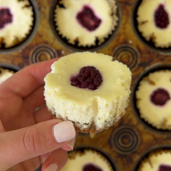 blackberry lemon cheesecake bites