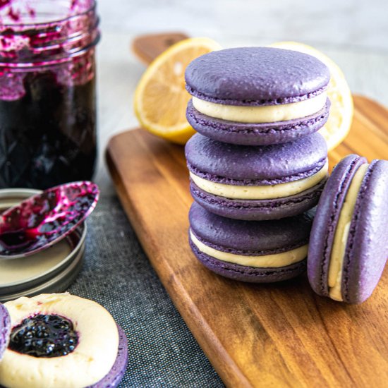 Blueberry Macaron Recipe