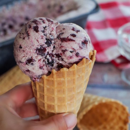 Saskatoon Berry Ice Cream