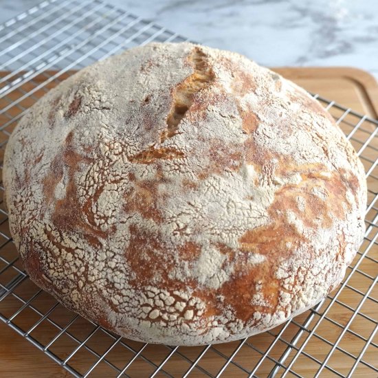 No-Knead Artisan-Style Bread