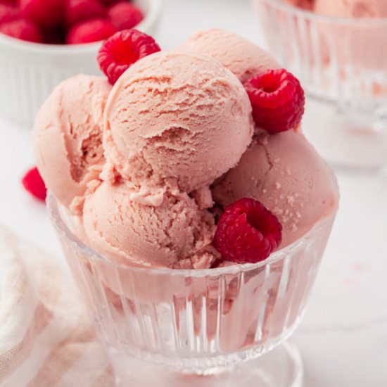 Raspberry Ice Cream