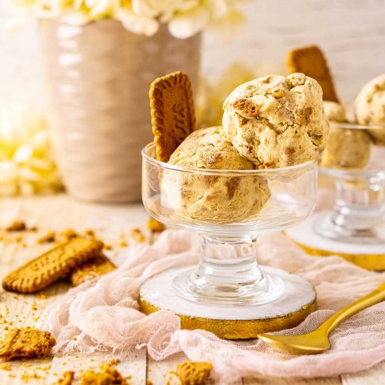 Biscoff Ice Cream