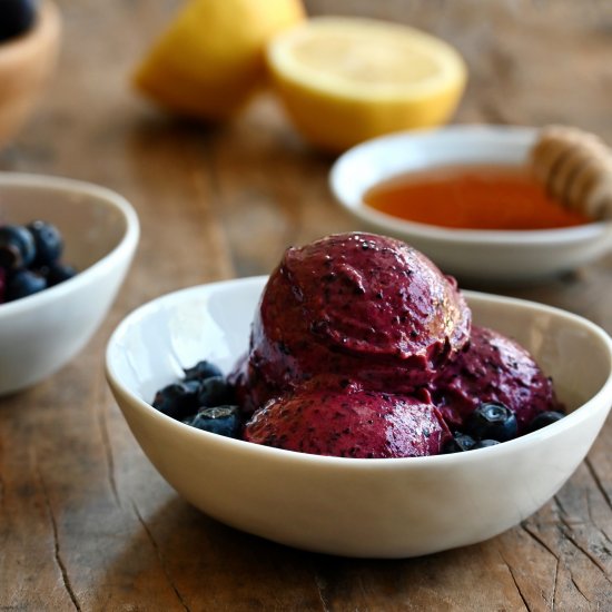 Healthy Blueberry Frozen Yogurt