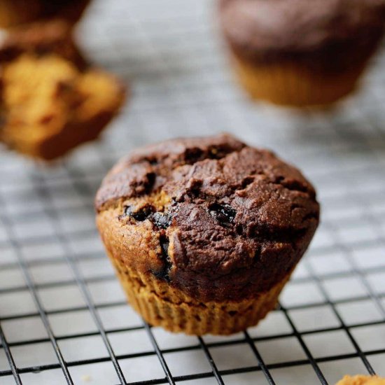 Pumpkin Chocolate Chip Muffin