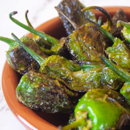 Padron Peppers -5 min tapas recipe!