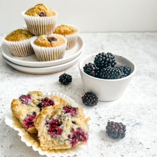 Blackberry Muffins