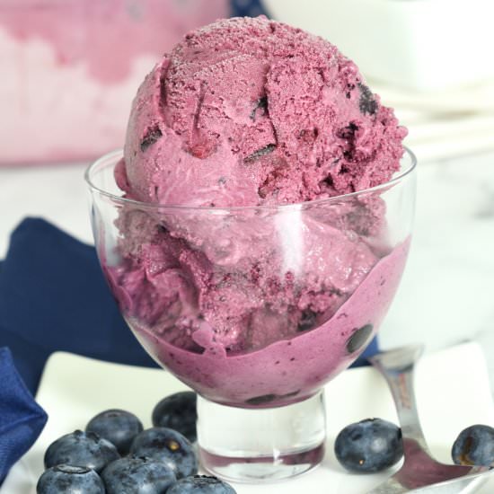 Homemade Blueberry Ice Cream