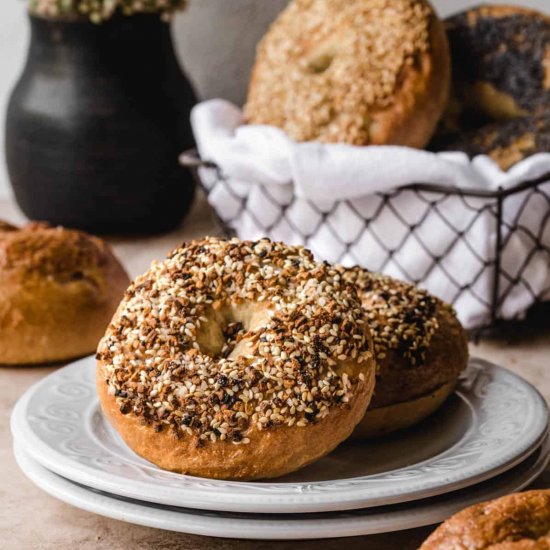 New York Style Bagels