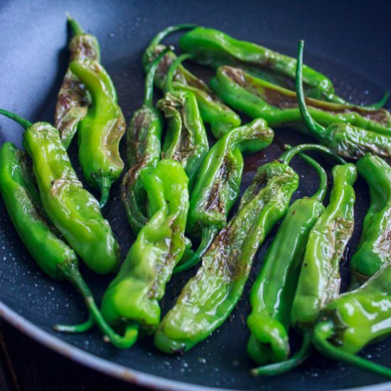 Blistered Shishito Peppers