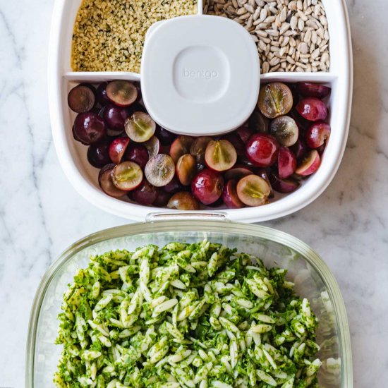 Lemony Orzo Pasta Salad with Kale