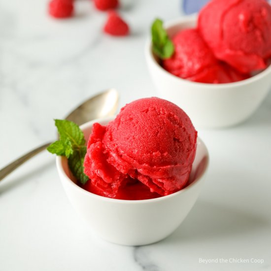 Raspberry Sorbet