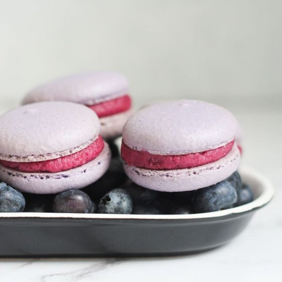 Blueberry Macarons