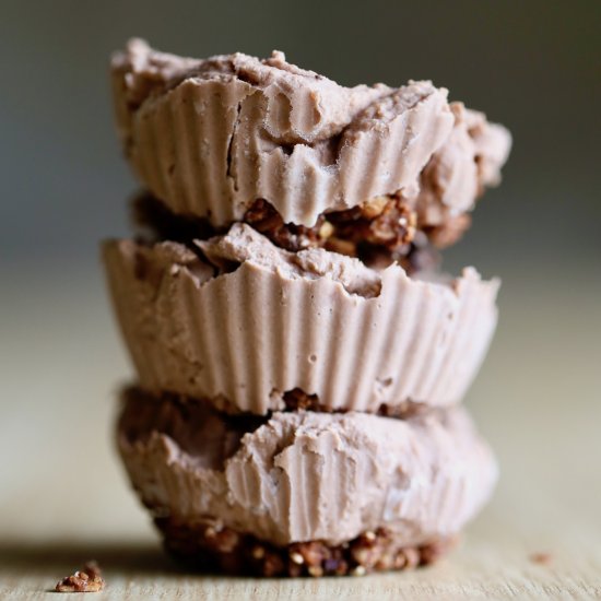 Vegan Frozen Yogurt Protein Cups