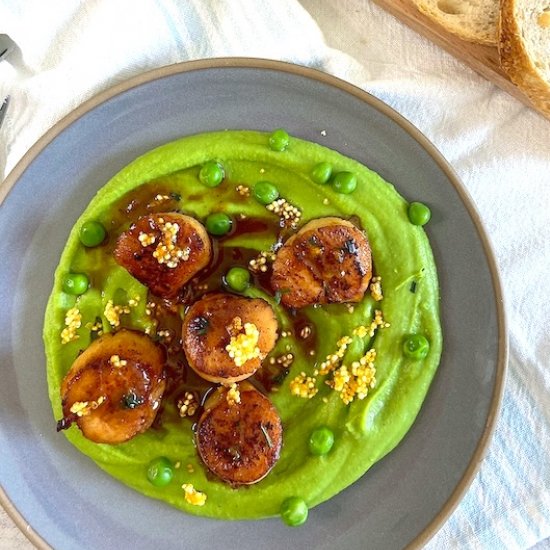 Seared Scallops on Pea Purée