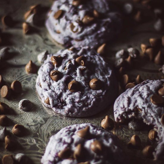 Chewy Blueberry Cookies