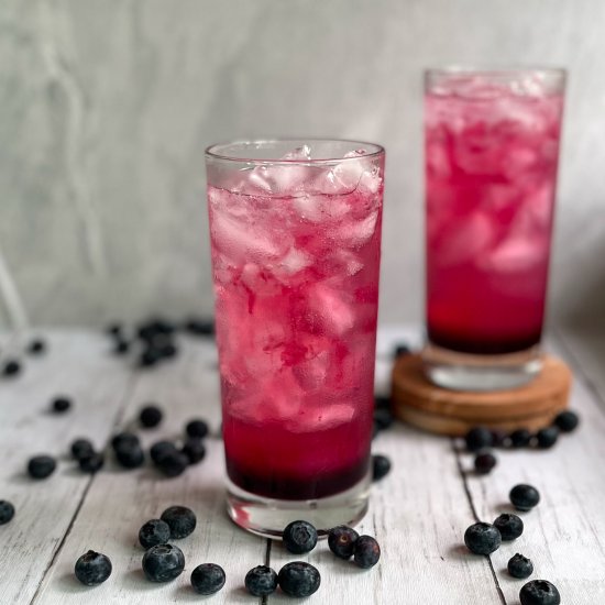 Blueberry Gin and Tonic