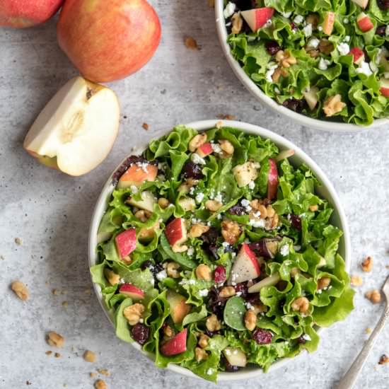 Apple Cranberry Salad