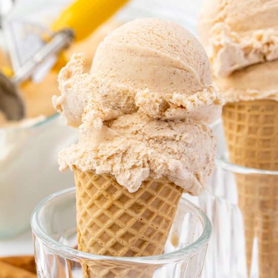 Cinnamon Ice Cream