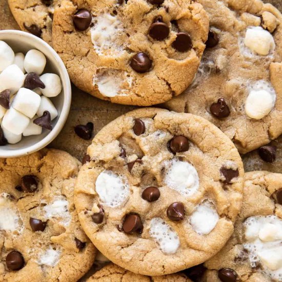 Chocolate Chip Marshmallow Cookies