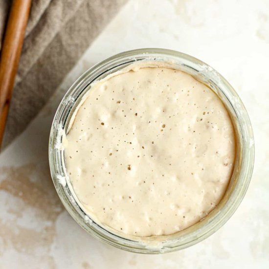 Sourdough Starter Basics